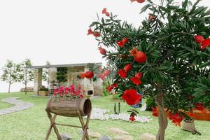 RUSTICO A QUARTU SANT'ELENA