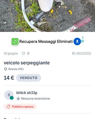 VEICOLO SERPEGGIANTE 