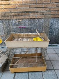 Gabbie per cocorite calopsite e canarini