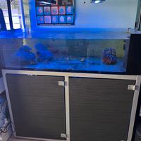 Acquario con supporto e sump  480 Litri