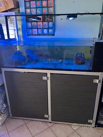 Acquario con supporto e sump  480 Litri