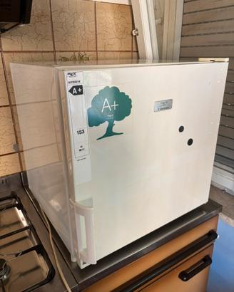 Freezer portatile Rex Electrolux classe A+