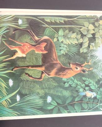 bambi capriolo cerbiatto felix salten disney libro