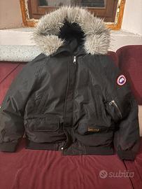 Canada goose