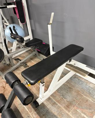 Teca Decline bench press