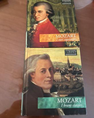 Due DVD i grandi compositori