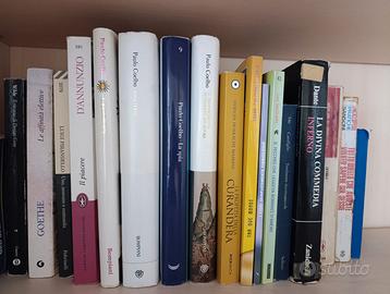 13 libri Classici + moderni + scolastici