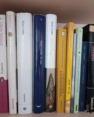 13 libri Classici + moderni + scolastici