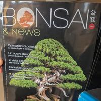 rivista collezione bonsai vari numeri