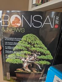 rivista collezione bonsai vari numeri