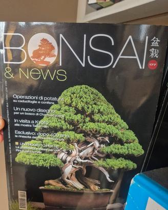 rivista collezione bonsai vari numeri