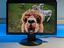 Immagine 5