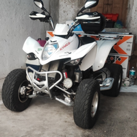 Quad Maxxer 300
