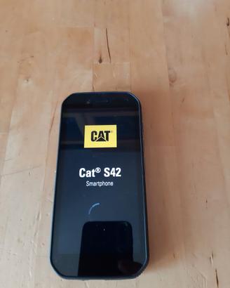 Smartphone Cat S42