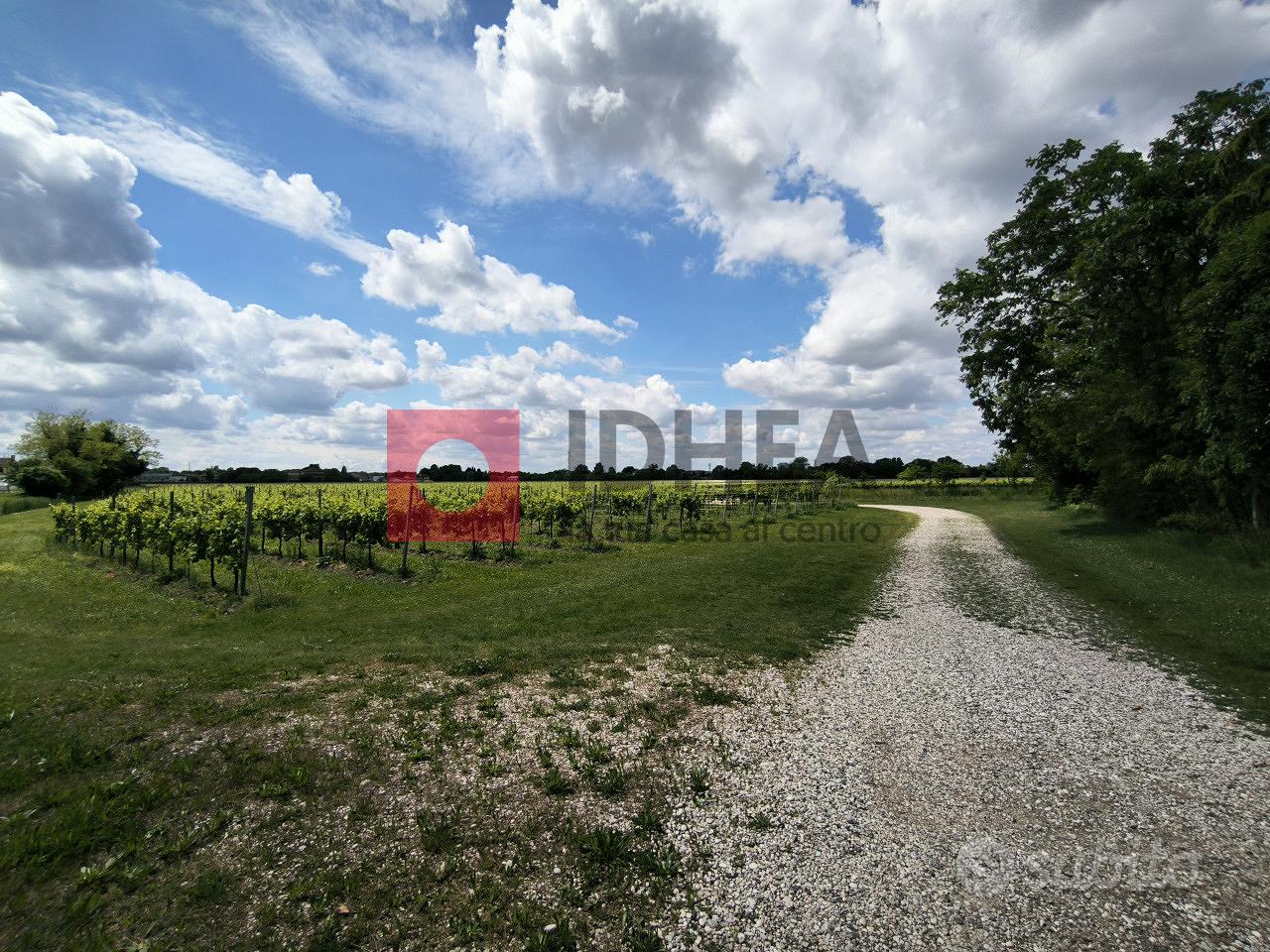 TERRENO AGRICOLO VIGNA GLERA BIOLOGICIO RIF "MFS2 - Vista 4