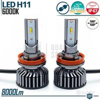 Kit Luci LED H11 CANbus Luce Bianca POTENTE6000K