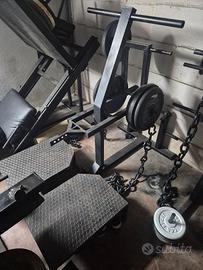 belt squat 