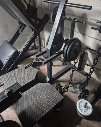 belt squat 