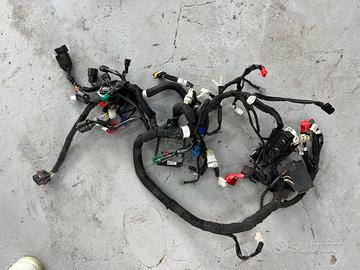 Impianto elettrico duke 390 2021/2023