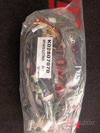 IMPIANTO ELETTRICO VENT 50