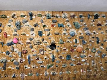 Pannello arrampicata indor