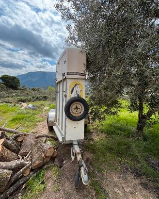 Trailer van trasporto cavalli