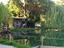 Immagine 12