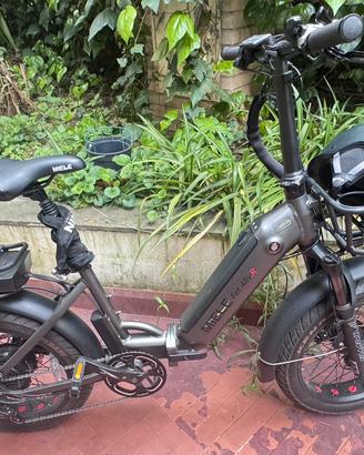 Bicicletta Miele Fat48 Vr2