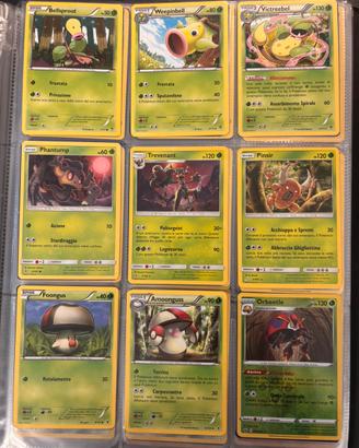 Album 2 carte Pokemon