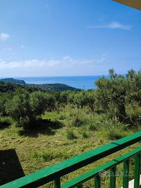 Agosto Marina di Camerota