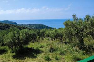 Agosto Marina di Camerota