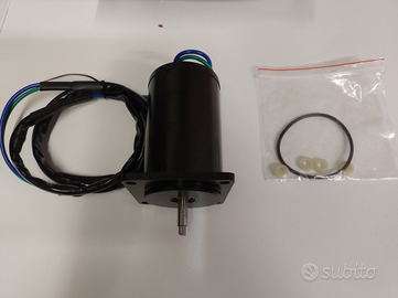 MOTORE TRIM Yamaha 75 -100 CV 67F438800000