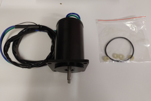 MOTORE TRIM Yamaha 75 -100 CV 67F438800000