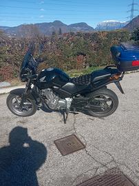 Honda CBF 500 - 2005