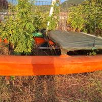 Catamarano Hobie cat 14