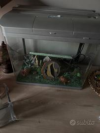 Acquario 40 l