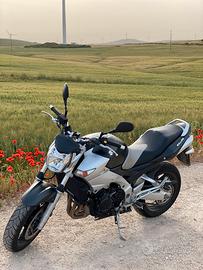 Suzuki GSR 600 Perfetta scambi