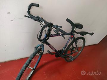 Bicicletta