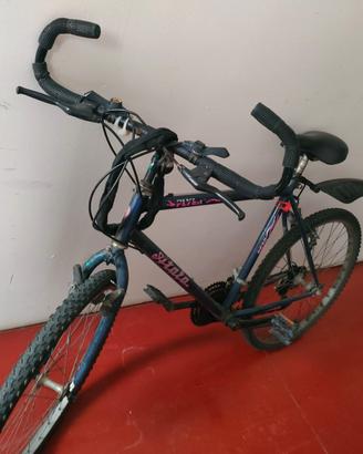 Bicicletta