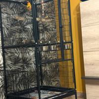 Voliera per amazzone /ara/cenerino