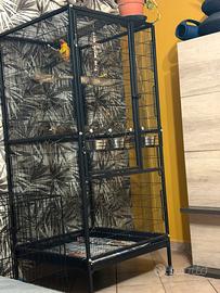 Voliera per amazzone /ara/cenerino