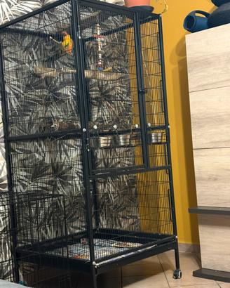 Voliera per amazzone /ara/cenerino