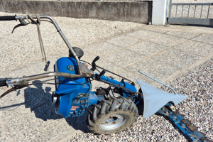 Taglia erba BCS a benzina