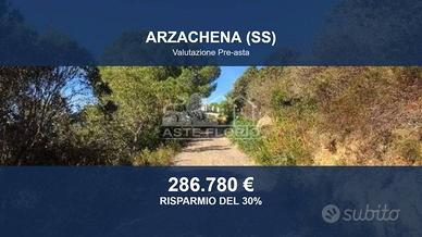 Immobile in asta di 8168 m² a Arzachena