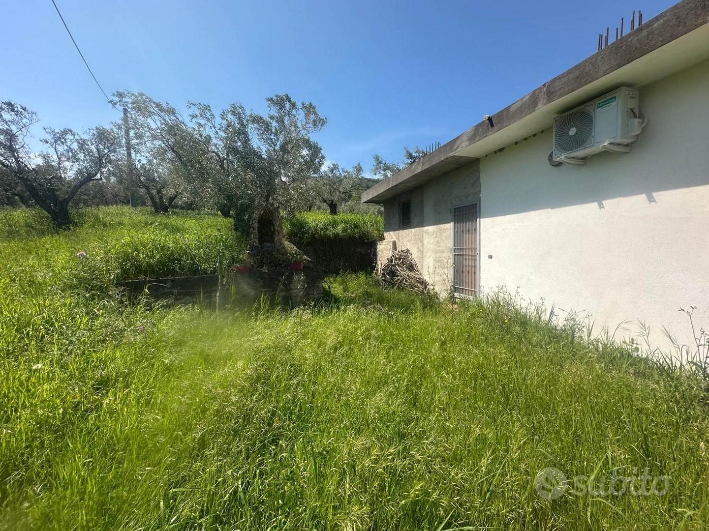 Rif.RI34| terreno agricolo borgia - Vista 2