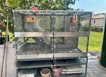 Gabbia / voliera