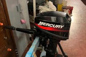 Motore fuoribordo 8.8 cv 2 tempi gambo lungo