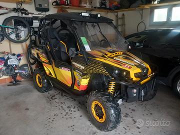 Can-Am Altro modello - 2013
