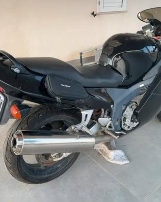 Honda CBR 1100 XX Super Blackbird