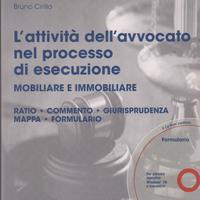 Cirillo L'attività dell'avvocato nel processo di e